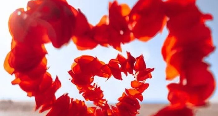 Kemesraan Suami Istri