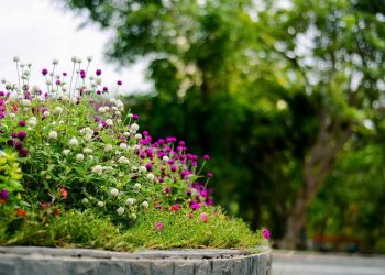 Jangan Biarkan Hasrat Mengalahkan Taat