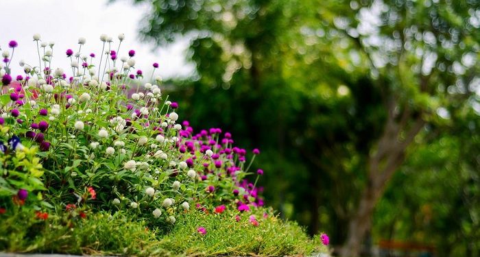Jangan Biarkan Hasrat Mengalahkan Taat