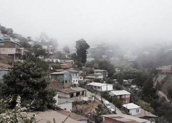 Memuliakan Tetangga dan Memberikan Hak-Haknya