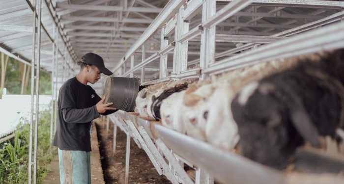 Dompet Dhuafa Jabar Pastikan Stok Hewan Terjamin Sehat