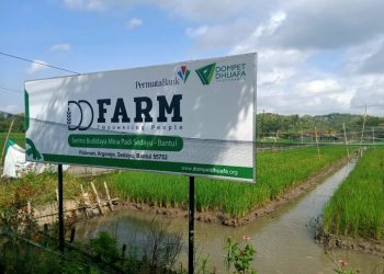 Dompet Dhuafa Berdayakan Petani Sedayu Melalui Program Mina Padi