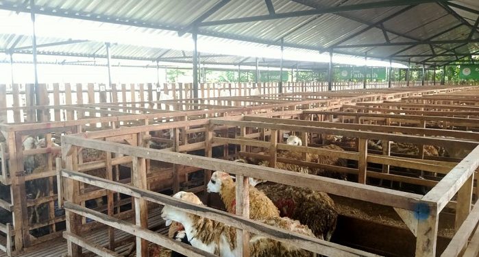 DD Farm Bina Masyarakat yang Mau Belajar Peternakan Melalui Pola Inti Plasma