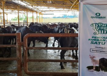 Kampung di Riung Ini Tak Dapat Daging Kurban selama 30 Tahun