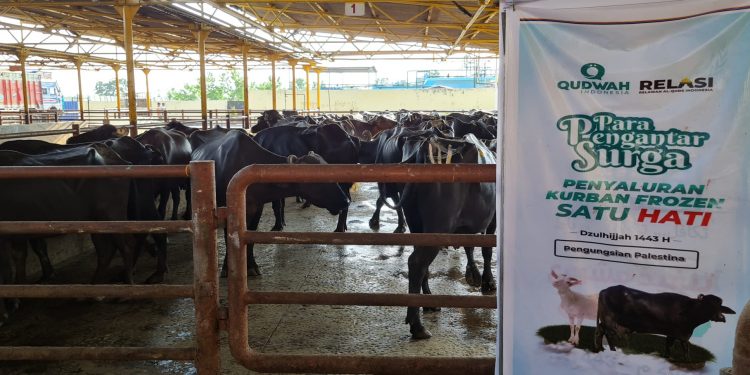 Kampung di Riung Ini Tak Dapat Daging Kurban selama 30 Tahun