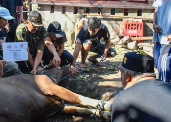 Korban Kebakaran Pasar Gembrong Dapat Daging Kurban dari Anggota DPR