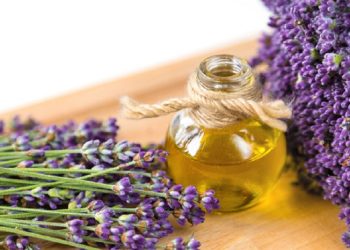 4 Essential Oil Terbaik untuk Atasi Stretch Mark