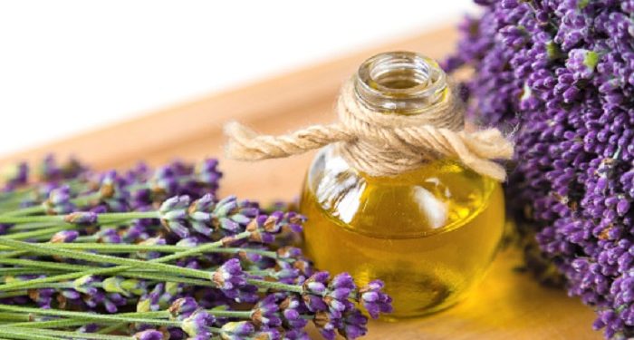 4 Essential Oil Terbaik untuk Atasi Stretch Mark