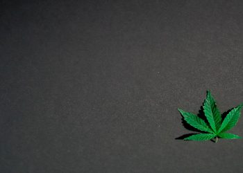 Penjelasan penggunaan ganja untuk medis