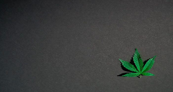 Penjelasan penggunaan ganja untuk medis