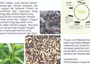 Si imut yang membantu mengatasi stunting