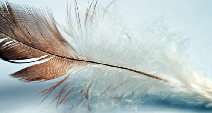 Abu Nuwas Bukan Abu Nawas, Penyair Kontroversial Terkenal Masa Harun Ar-Rasyid