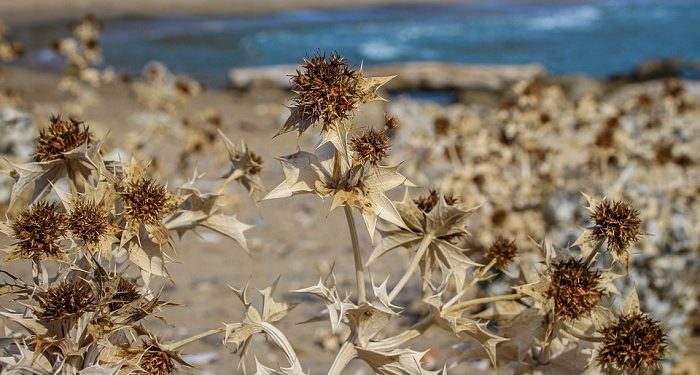 Maksiat yang Tampak Indah dan Samar