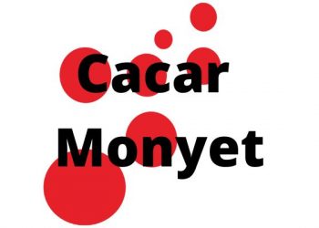 Kasus cacar monyet pertama di Indonesia