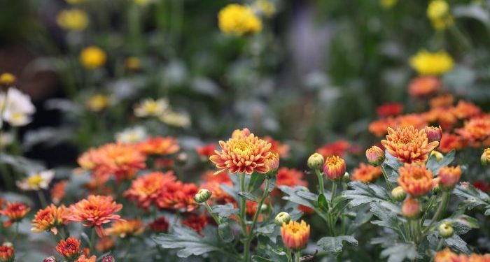 Jangan Melalaikan Kebutuhan Dunia dan Akhirat