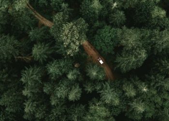 Kelapangan untuk yang berhijrah di jalan Allah