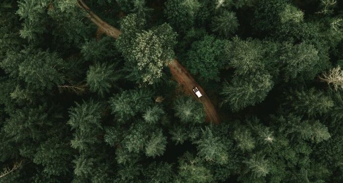 Kelapangan untuk yang berhijrah di jalan Allah