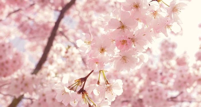 Amalan yang Pertama Dihisab pada Hari Kiamat