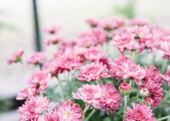 Pelajaran Berharga dari Taubatnya Nabi Adam