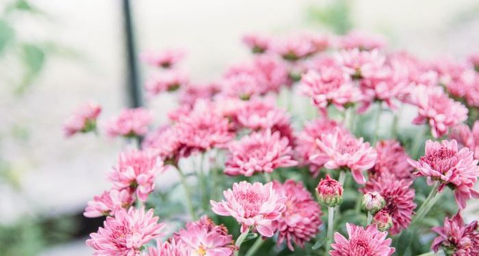 Pelajaran Berharga dari Taubatnya Nabi Adam