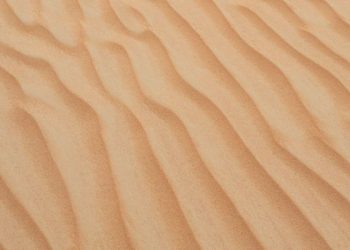 Kisah Jabir bin Abdillah Menuntut Ilmu