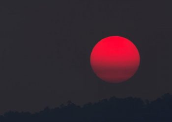 Apakah Semua Darah itu Najis?