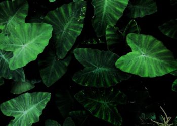 Hikmah Tertundanya Dikabulkan Doa