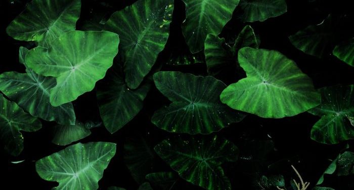 Hikmah Tertundanya Dikabulkan Doa