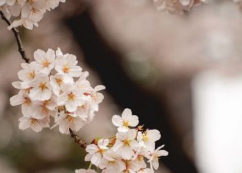 Sempurnanya Syariat Islam dalam Hal Akhlak