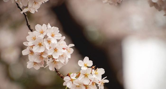 Sempurnanya Syariat Islam dalam Hal Akhlak