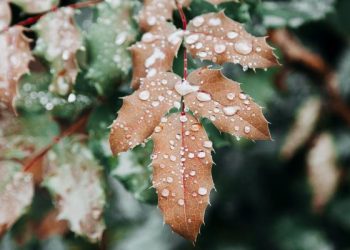 Awal Kebinasaan Bani Israil