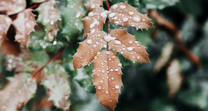 Awal Kebinasaan Bani Israil