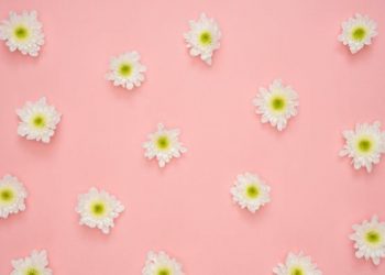 Orang Beriman itu Meninggal dengan Keringat di Dahi