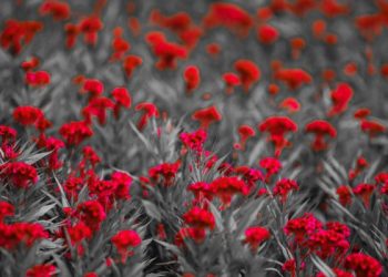 Tidak mungkin membuat seluruh manusia rida