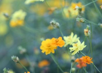 Menyikapi Tergelincirnya Seorang Alim