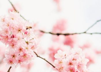 Ingatlah Allah di Masa Lapang