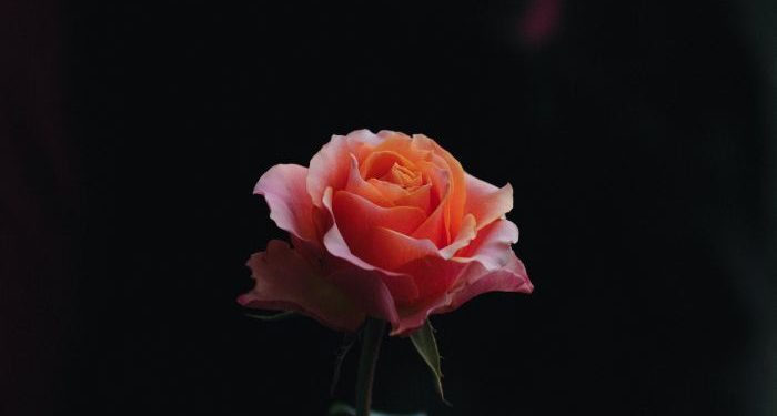 Berbuat Baik kepada Siapa saja