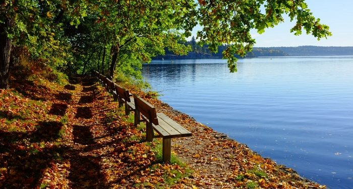 Kesyahidan yang Dirindukan