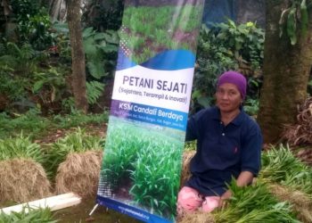 Berkah Zakat, Warga Desa Candali Kini Mandiri Pupuk Organik