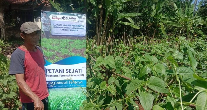 Dulu Serabutan, Kini Makmur Kelola Lahan Pertanian