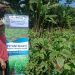 Dulu Serabutan, Kini Makmur Kelola Lahan Pertanian