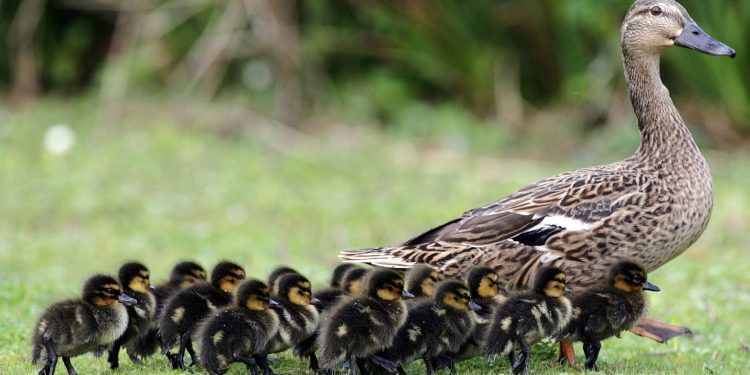 Mulailah dari Diri Sendiri