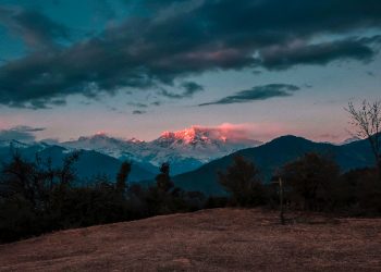 Dibangkitkan kembali setelah mati selama seratus tahun
