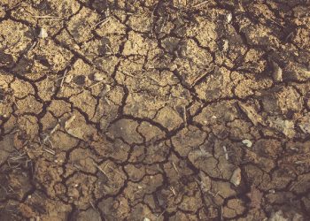 Muslim prancis berdoa memohon hujan