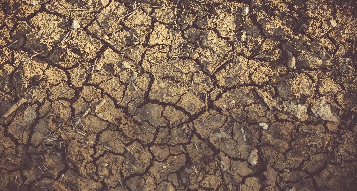 Muslim prancis berdoa memohon hujan