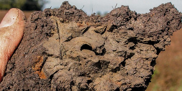 Berani Tanah Itu Baik