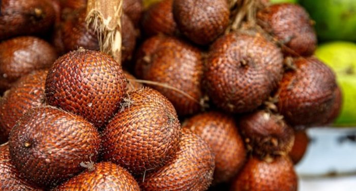 Potensi limbah kulit salak pondoh menjadi obat kanker lidah