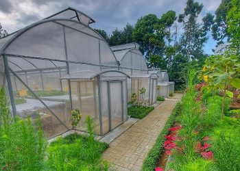 Resto Argowisata yang Bisa Camping Hingga Panen Sayur dan Ikan