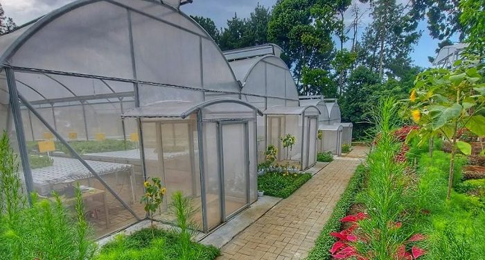 Resto Argowisata yang Bisa Camping Hingga Panen Sayur dan Ikan