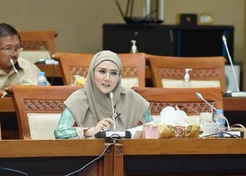 Mulan Jameela Bersyukur Program Kompor Listrik Dibatalkan